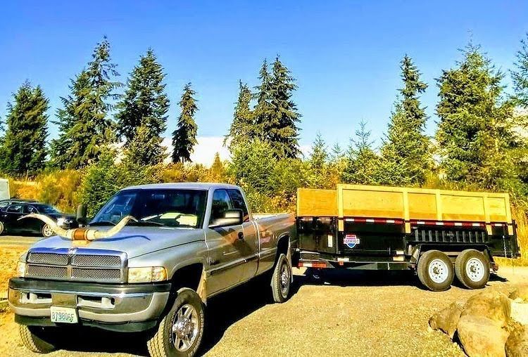 junk removal olympia