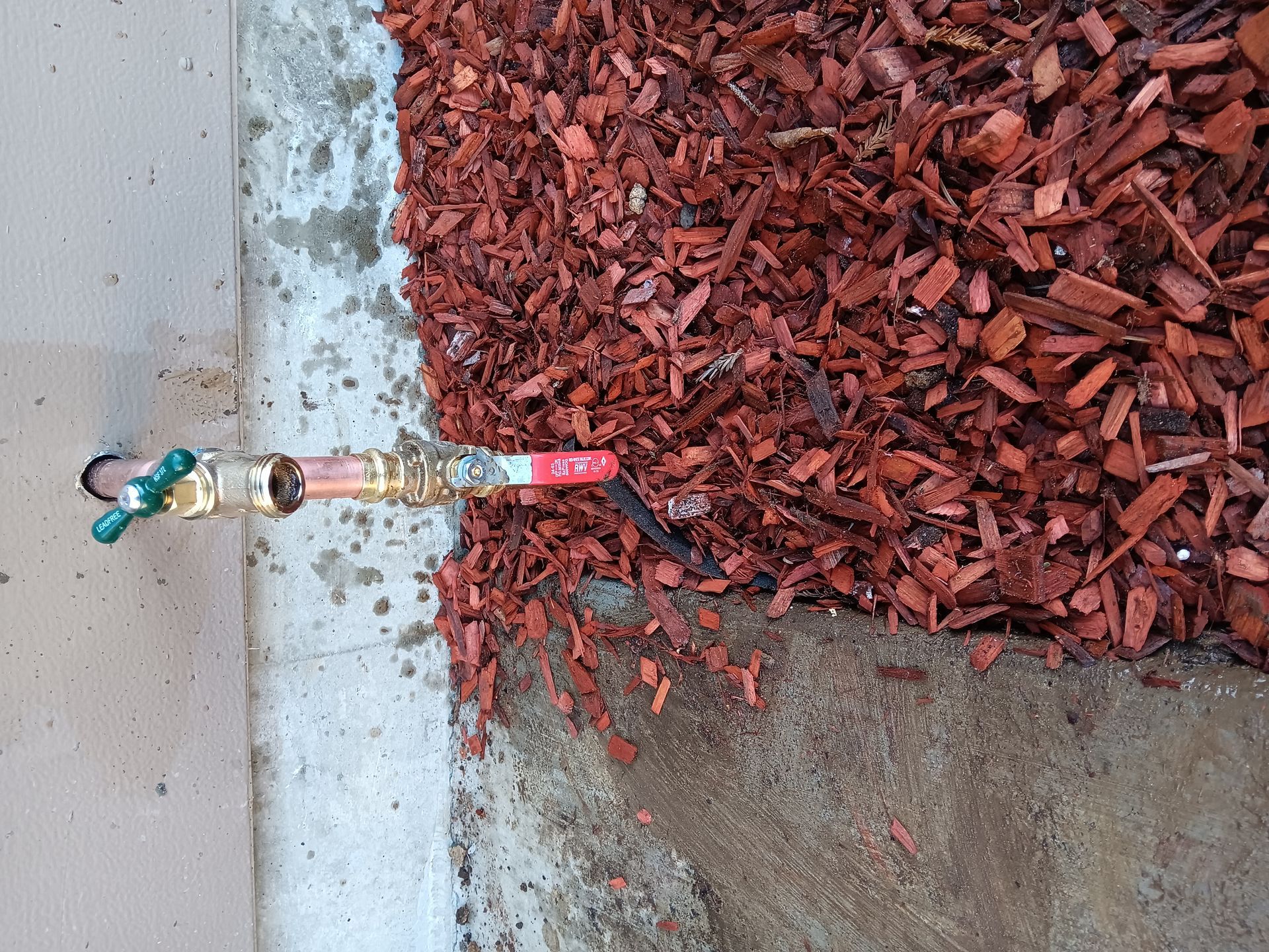 Broken pipe or sprinkler head beside concrete and red mulch border