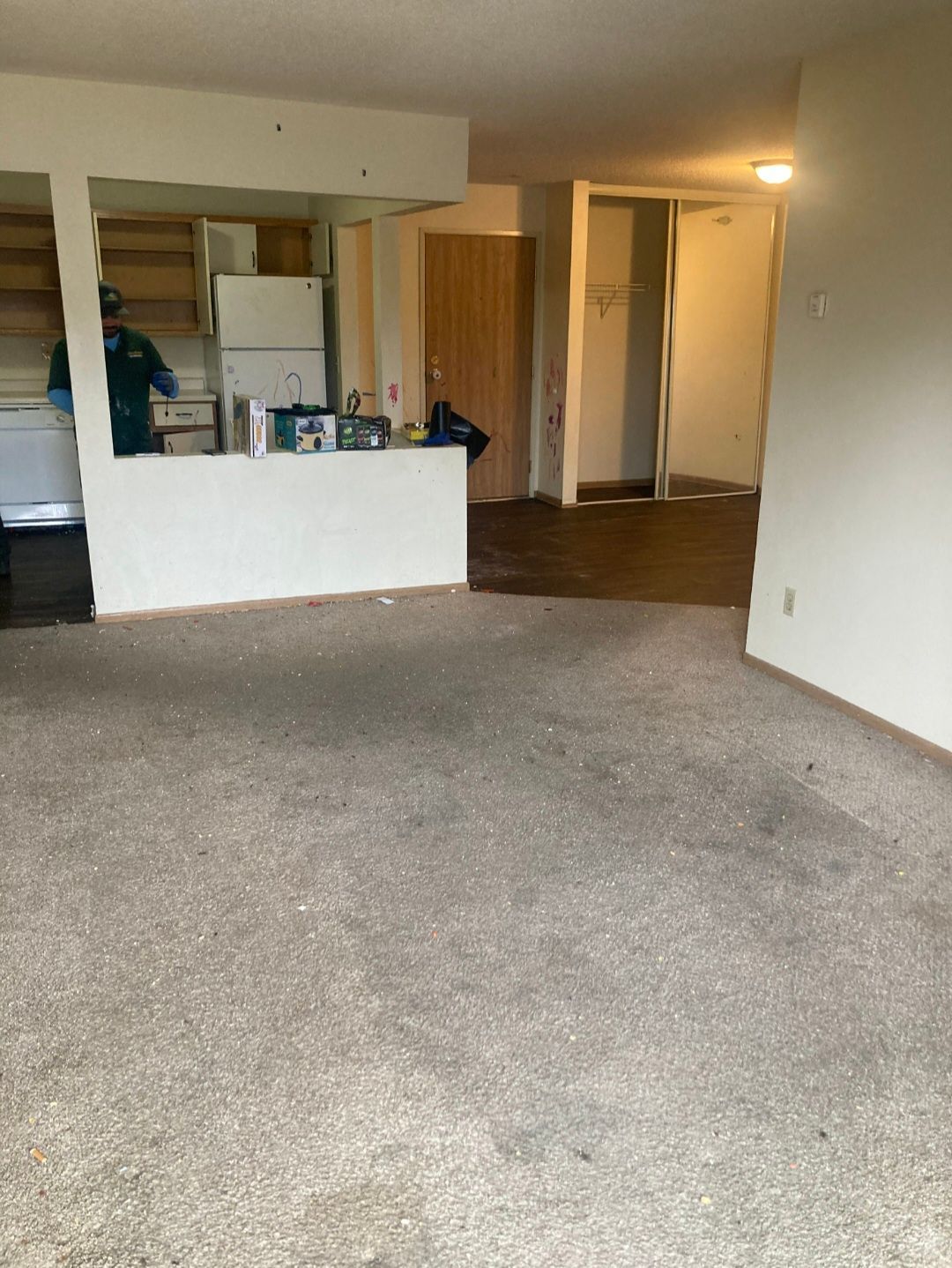 An empty living room with a carpeted floor and a kitchen in the background.