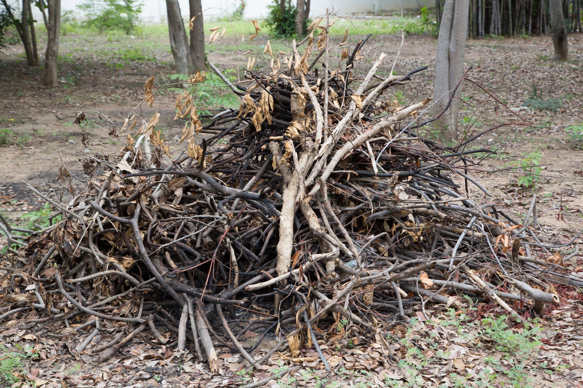 A pile of wood is sitting on the ground in the woods.