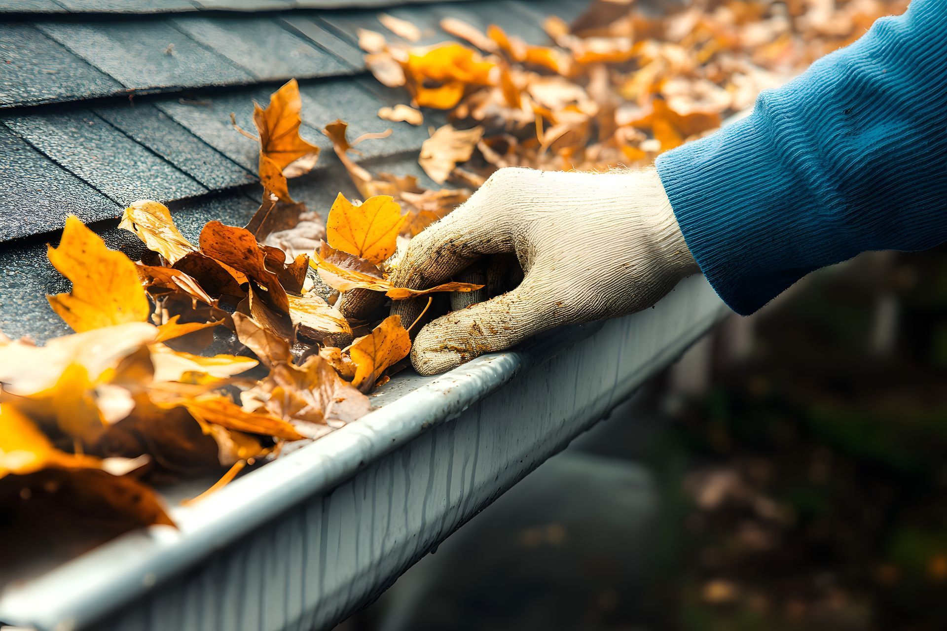 A person is cleaning a gutter of leaves from a roof.