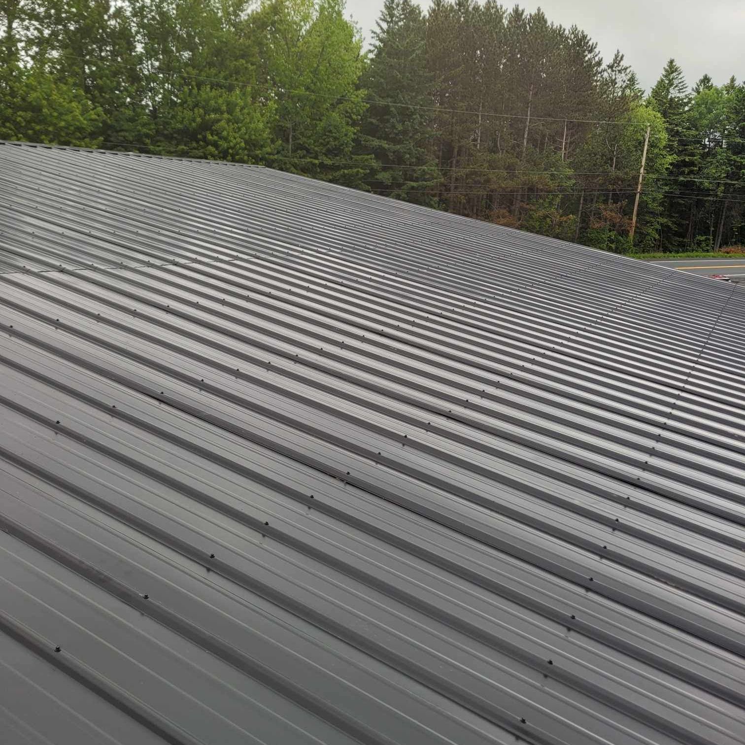 Un gros plan d'un toit en métal avec des arbres en arrière-plan.