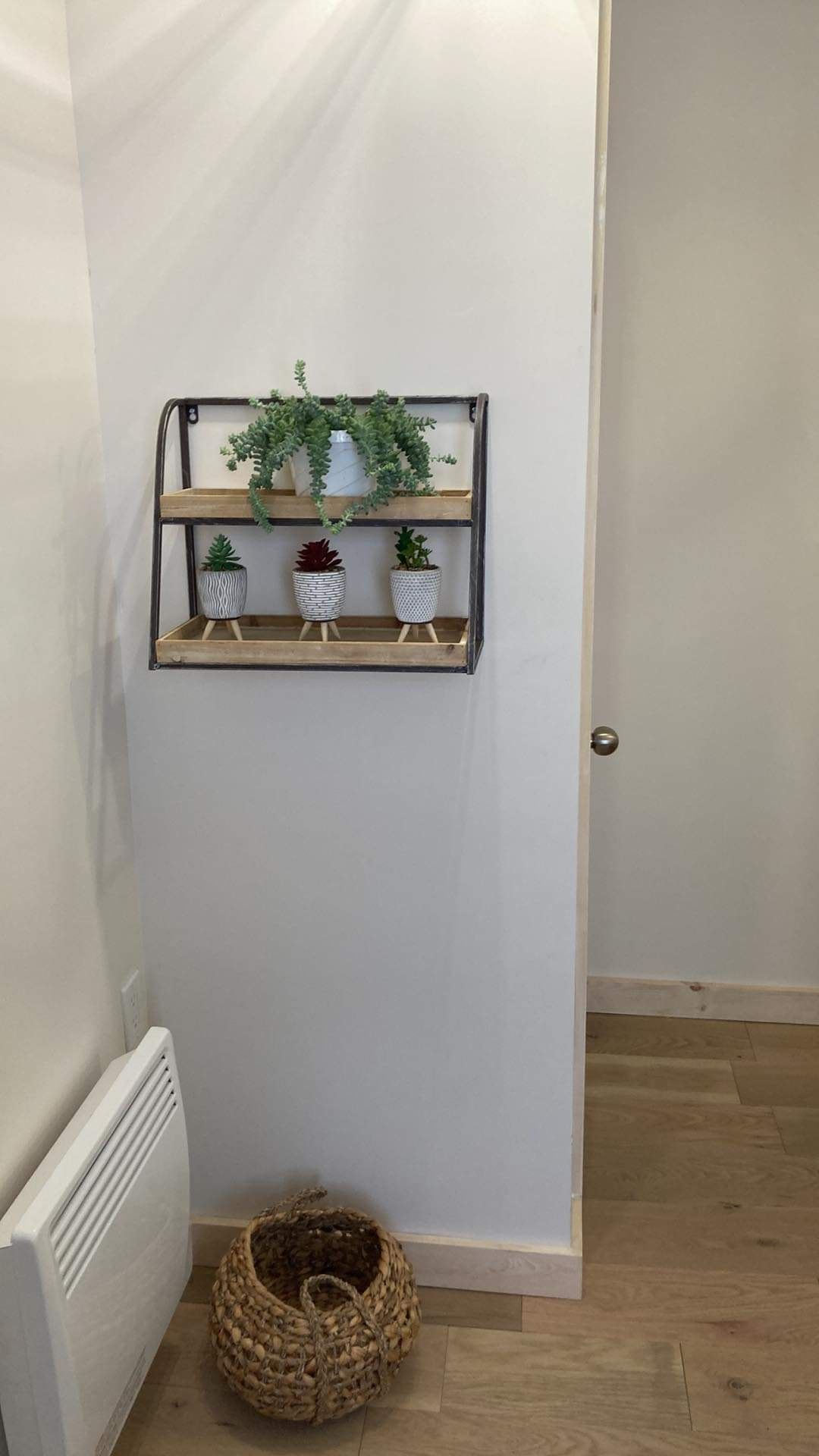 Il y a une étagère avec des plantes en pot dessus dans un couloir.