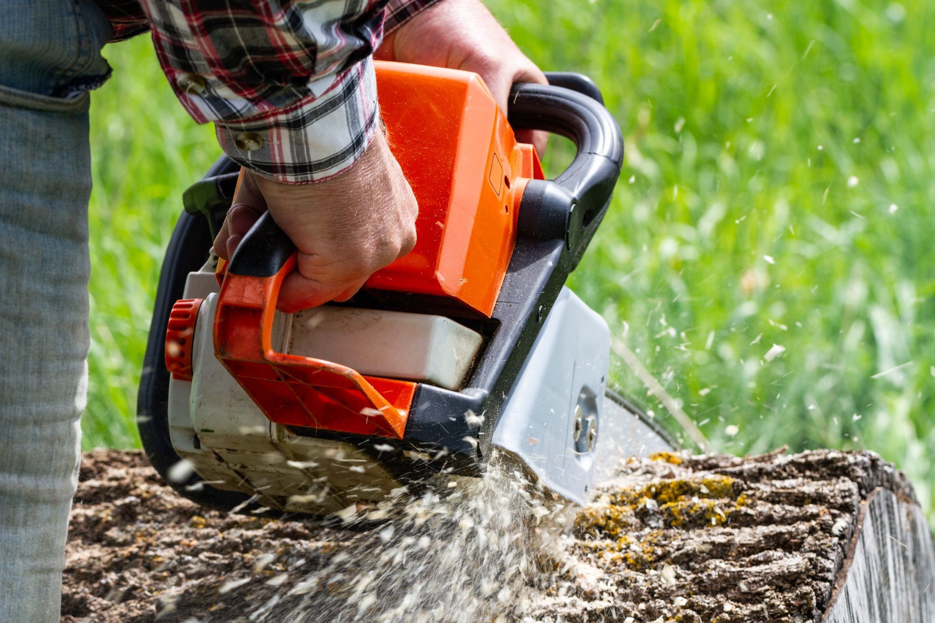 A man is using a chainsaw to cut a tree stump.