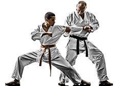 Two men are practicing karate in silhouette on a white background.