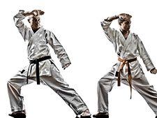 Two men are practicing karate in silhouette on a white background.