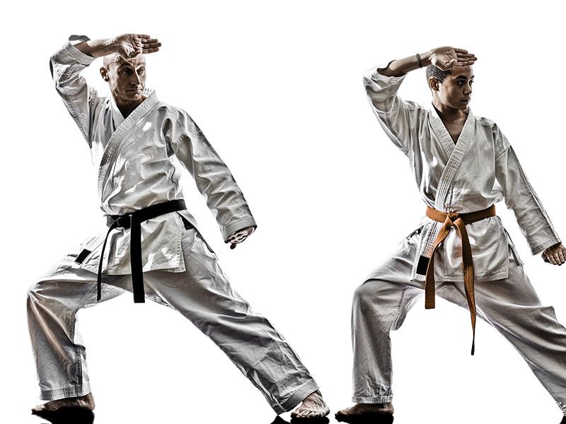 Two men in karate uniforms are practicing karate on a white background.