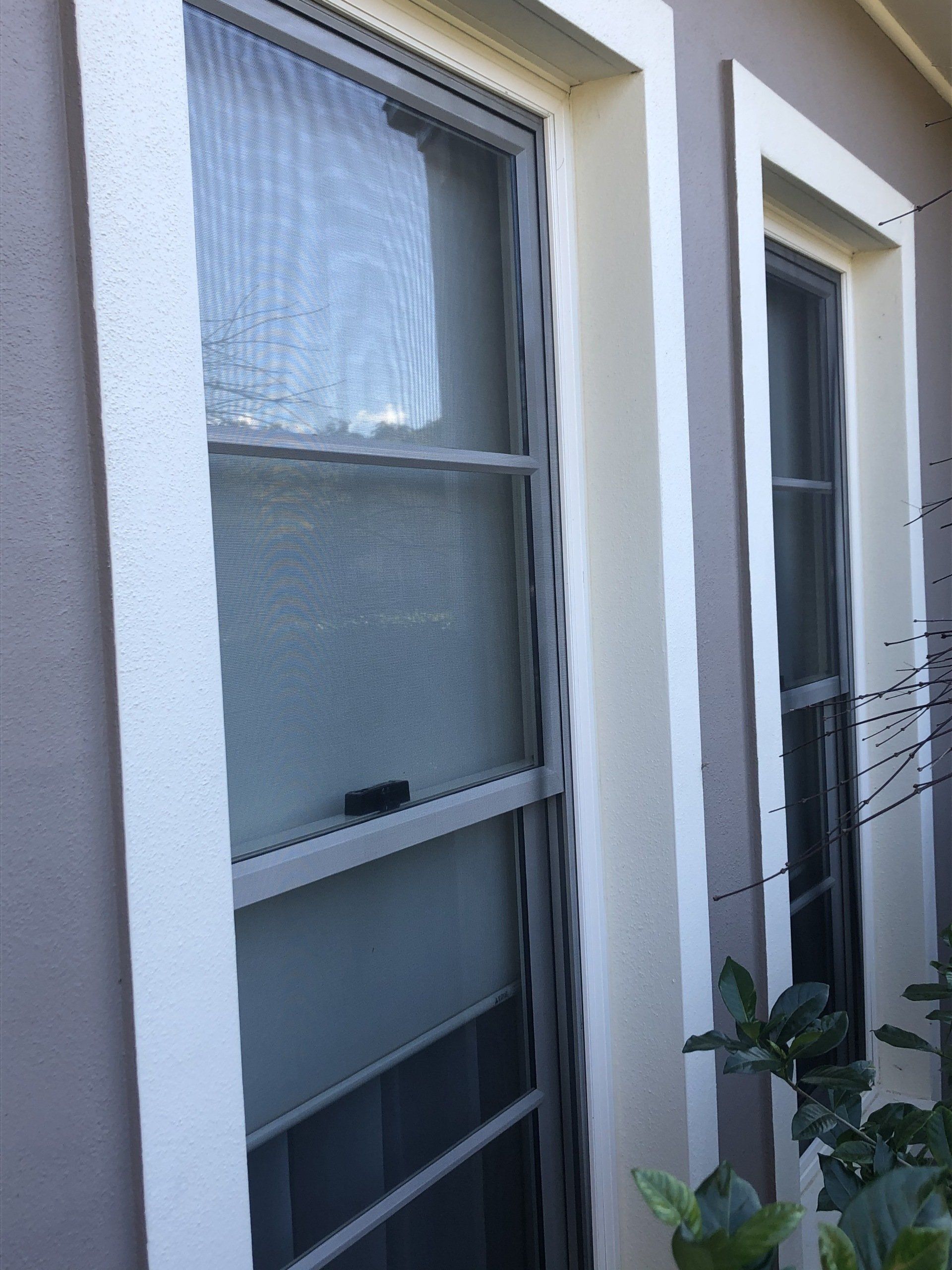 Flyscreen Door — Windows & Doors In West Gosford, NSW
