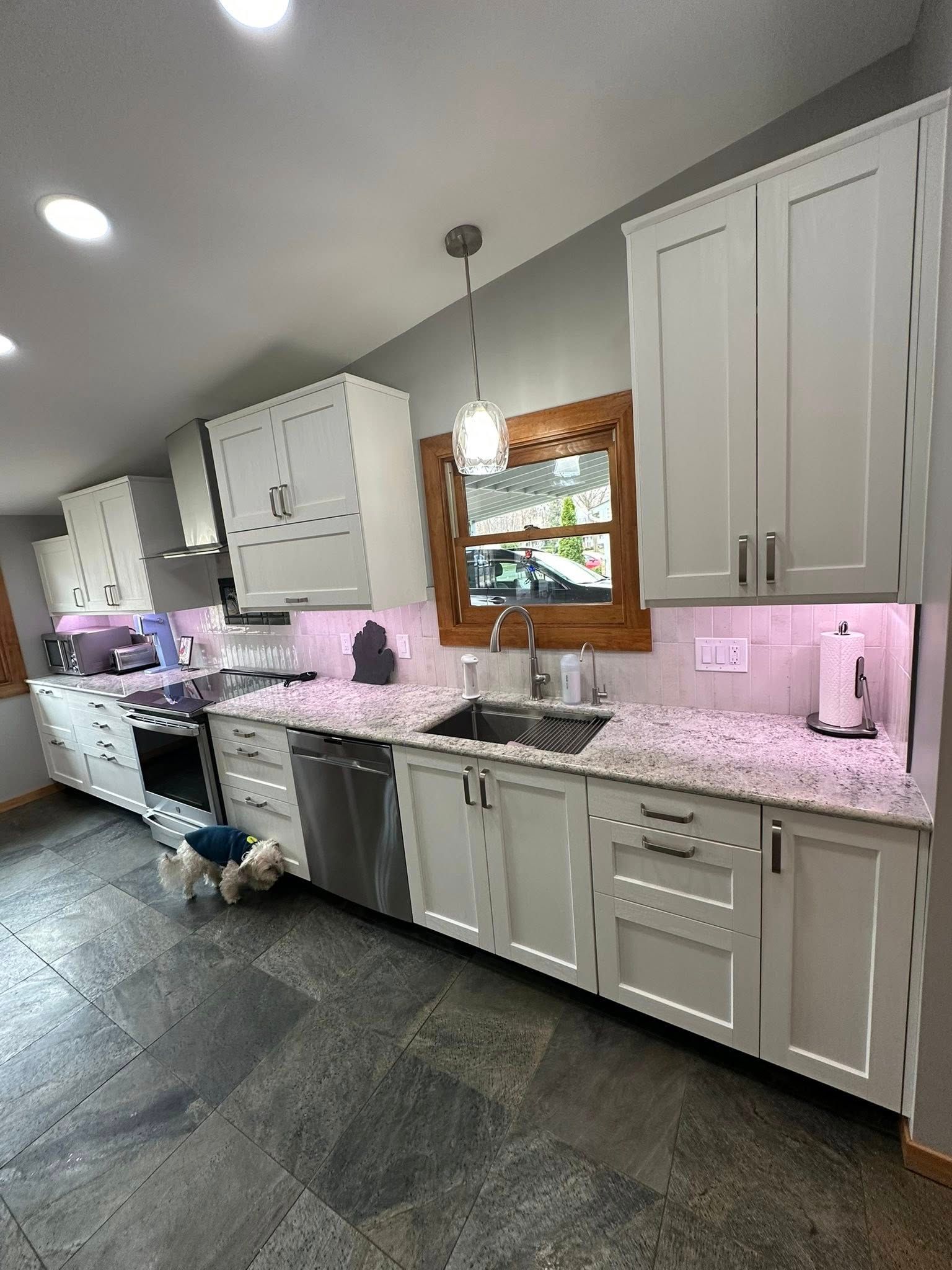 A kitchen with white cabinets , granite counter tops , a sink and a dog.