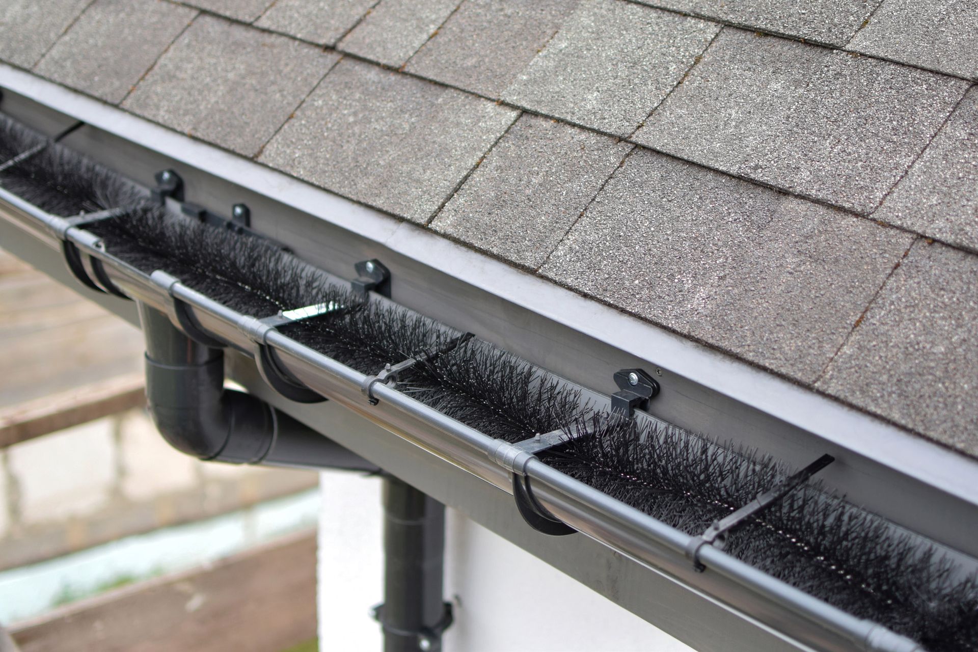 Black gutters with brushes installed along the edge of a shingle roof.