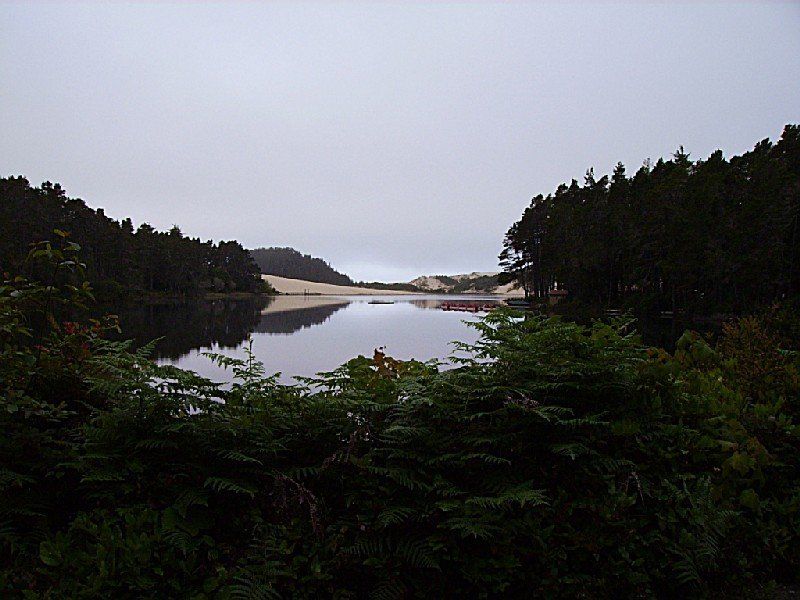 Honeyman State Park in Florence, OR