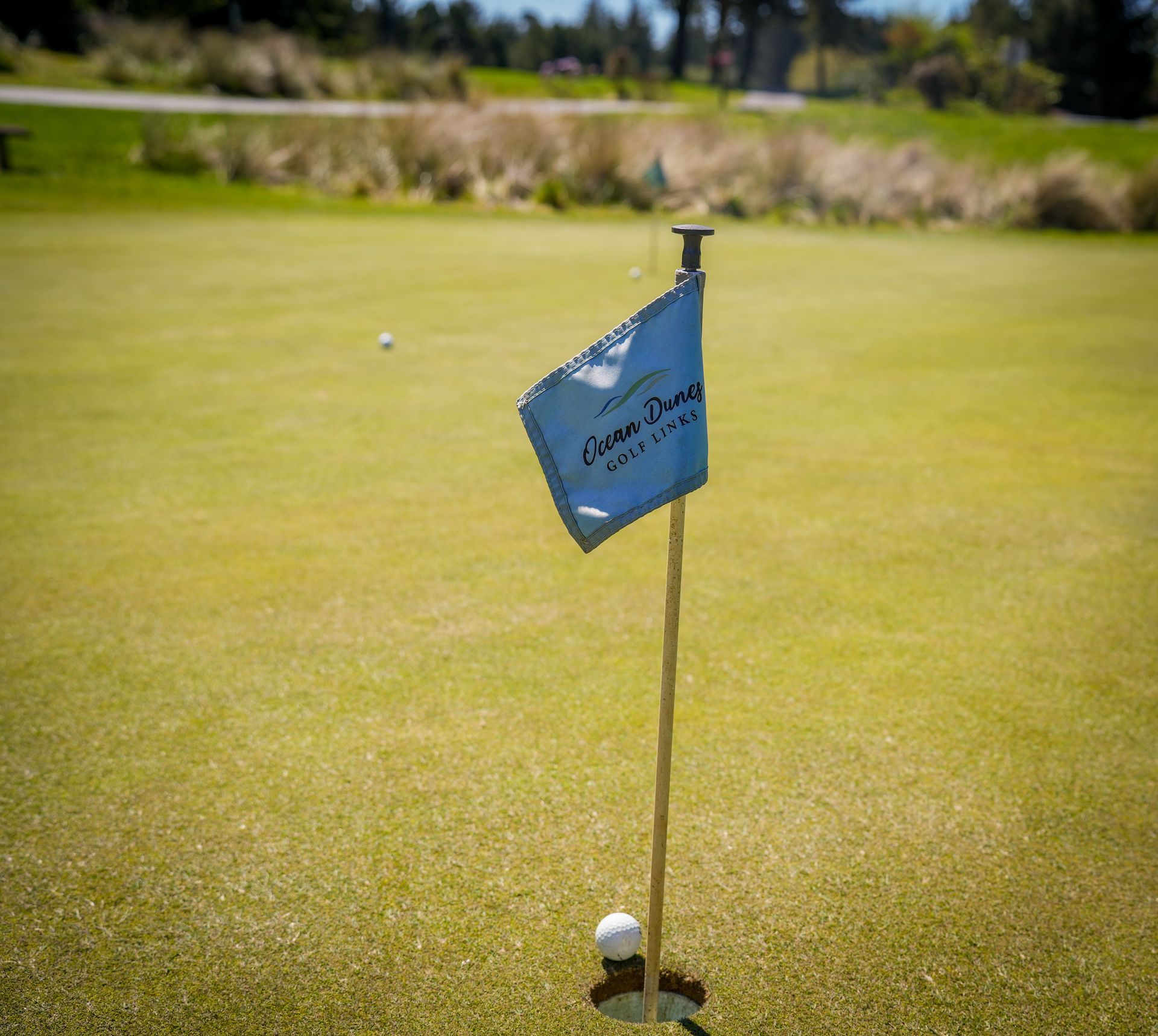 Golf in florence, or