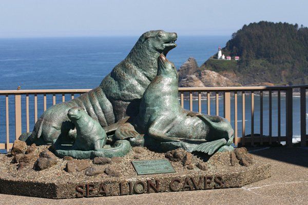 Sea Lion Caves in Florence