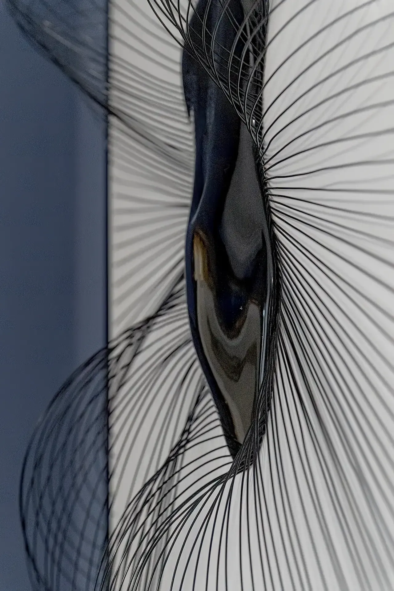 Scultura su tela in resina e leghe metalliche, tridimensionale. Fondo bianco, resina nero lucido.