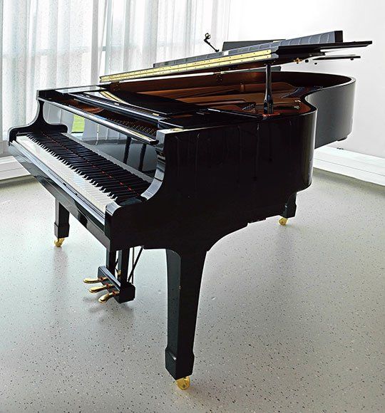 Black Piano — Lancaster, PA — Dawn Herring's Piano Service