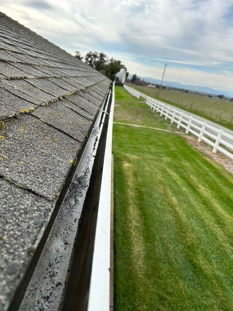 Gutter along a gray shingled roof, filled with debris, overlooks a green lawn and white fence under a cloudy sky.