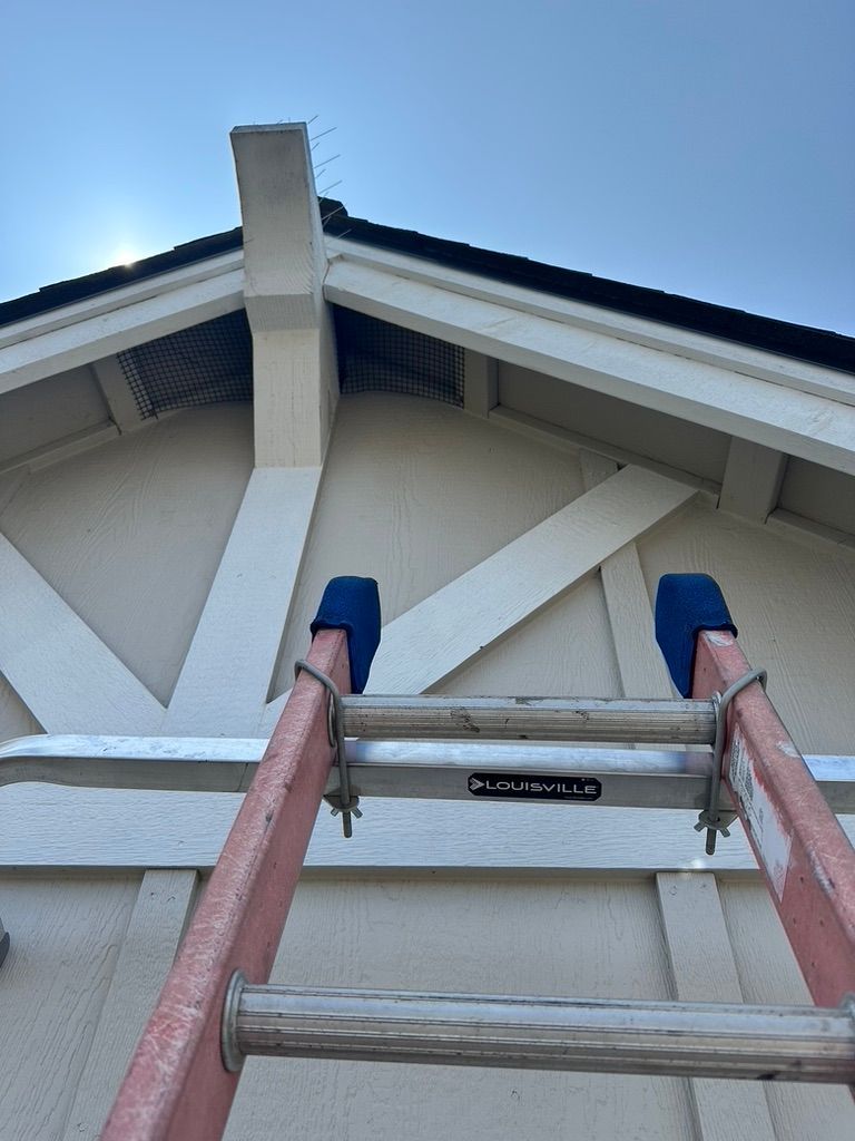 Ladder leaning against a house with a gable roof; the roof has a screen covering a possible vent.
