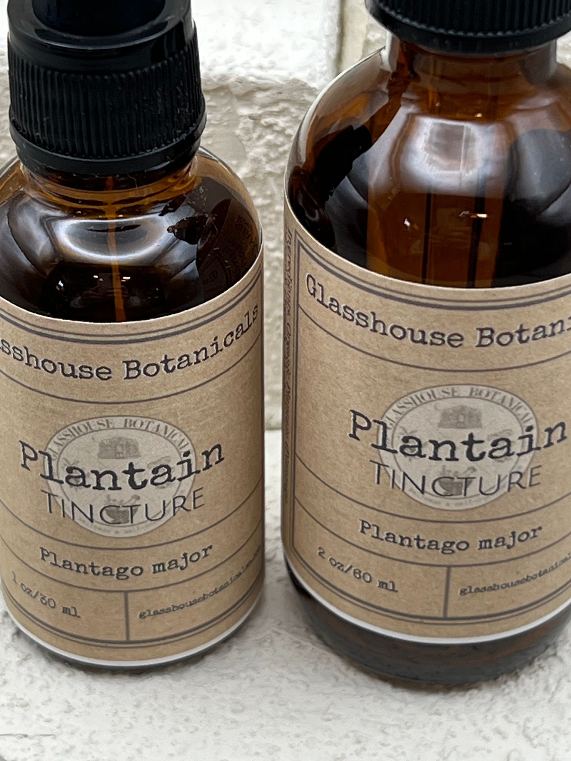 Plantain Tincture