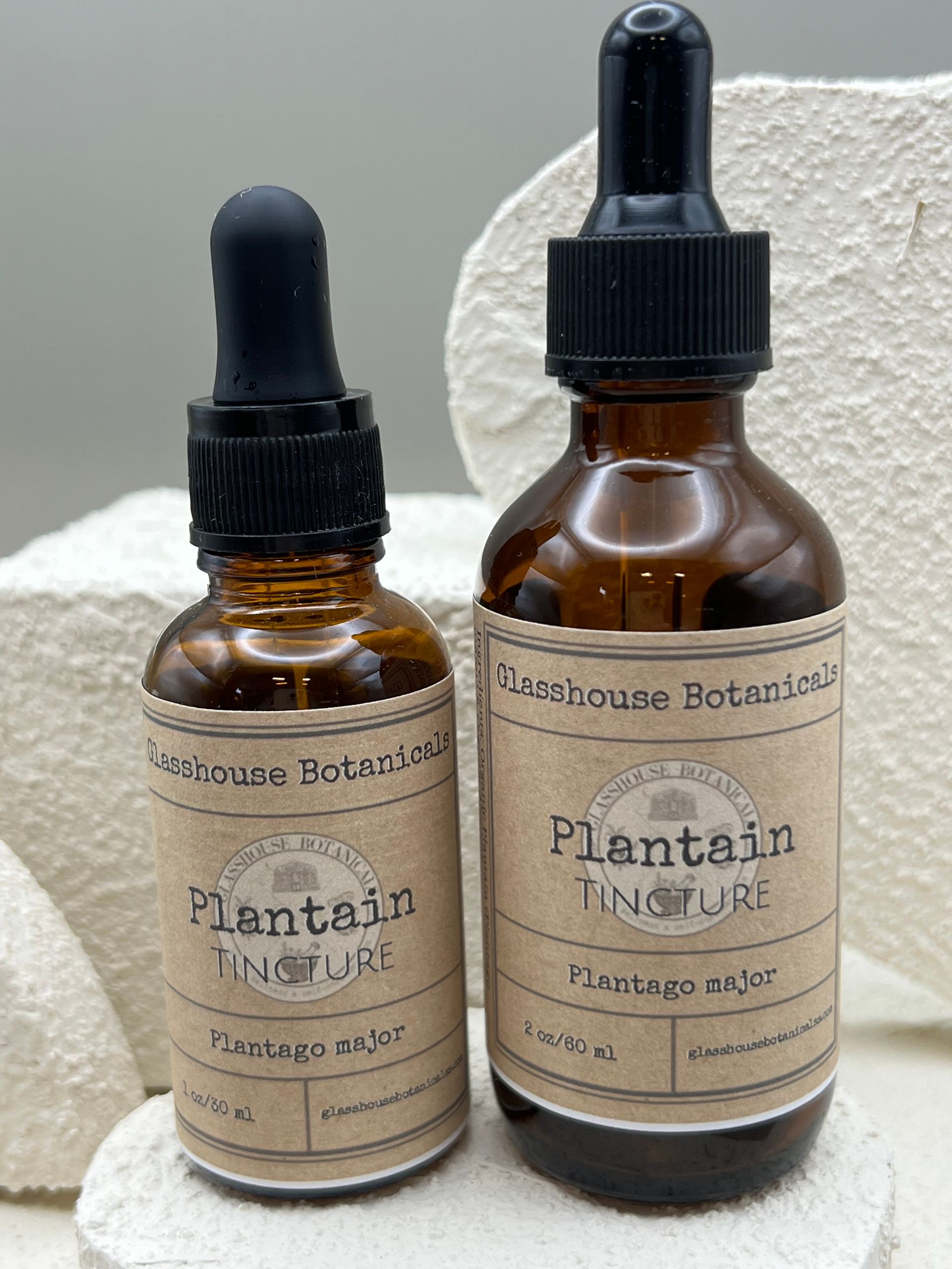 Plantain Tincture
