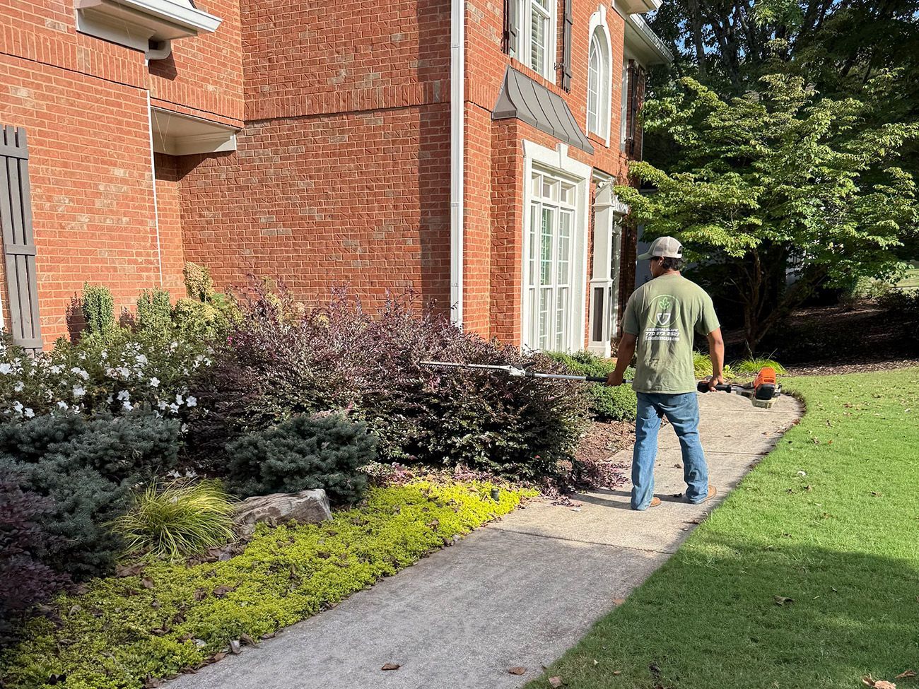 Man standing near a house with landscaping, concrete pathway.
