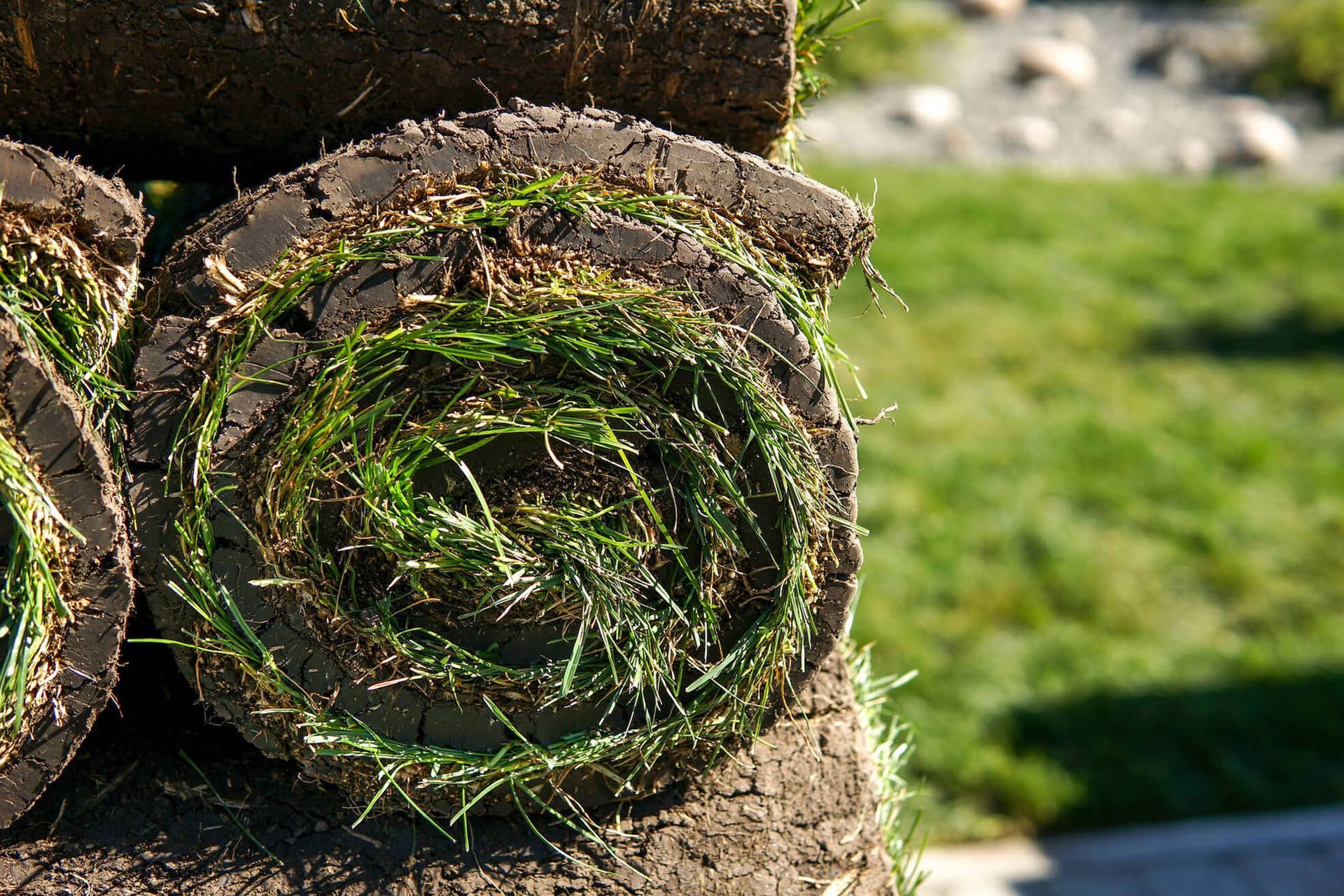 Close-up of rolled-up sod; green grass visible in the center, stacked outdoors.
