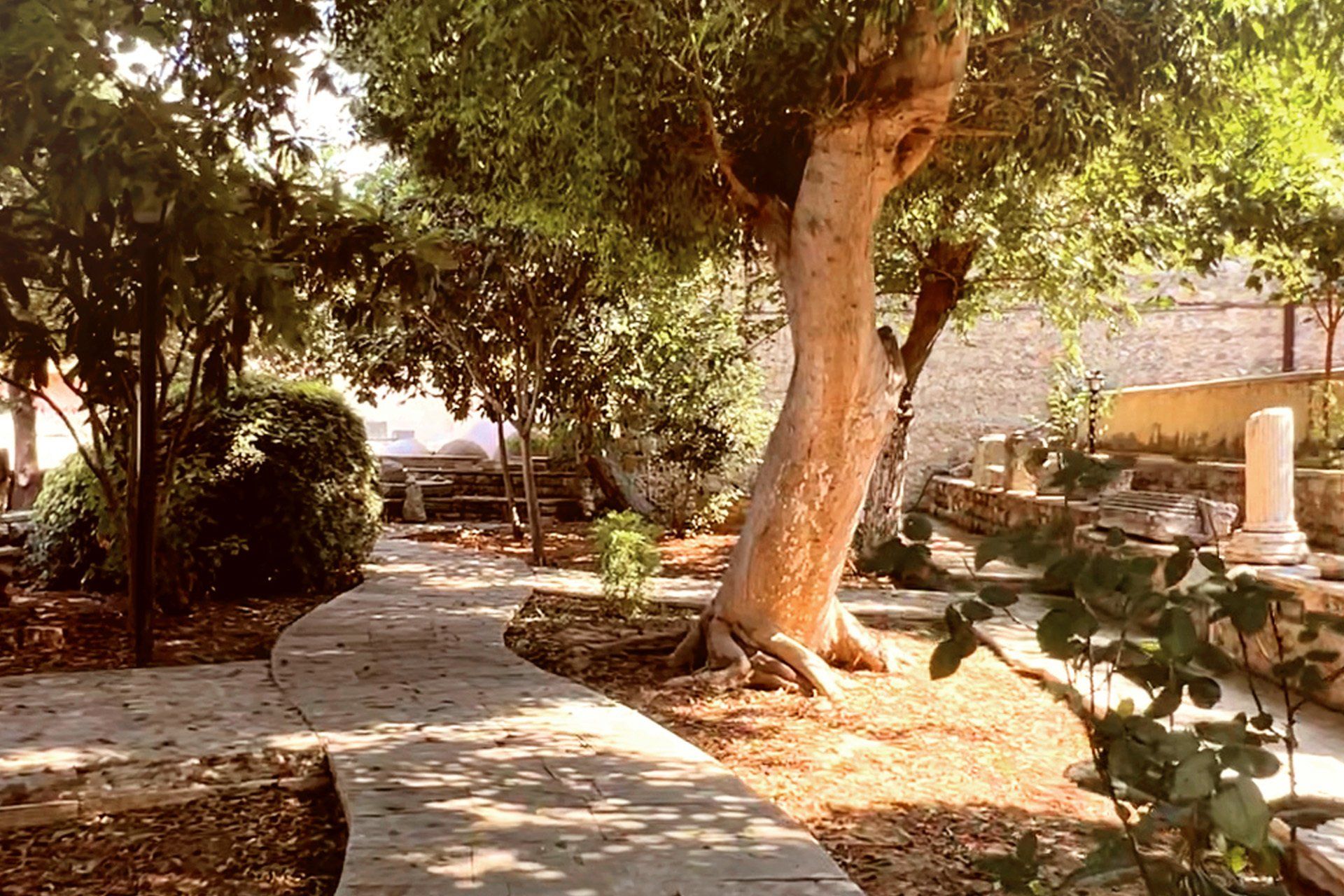 tree-lined-garden-path-saint-paul-church-tarsus-turkey