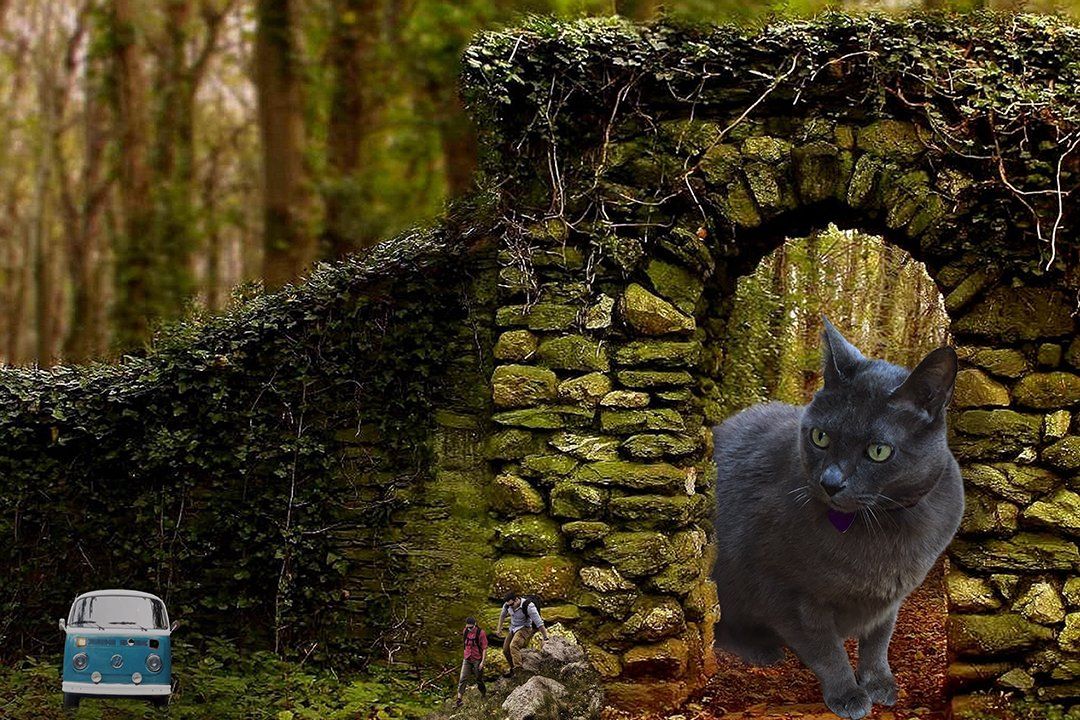 Who Do You Trust: Photo composite - Created by Michael Jackson Pet Photography, Vero Beach, FL