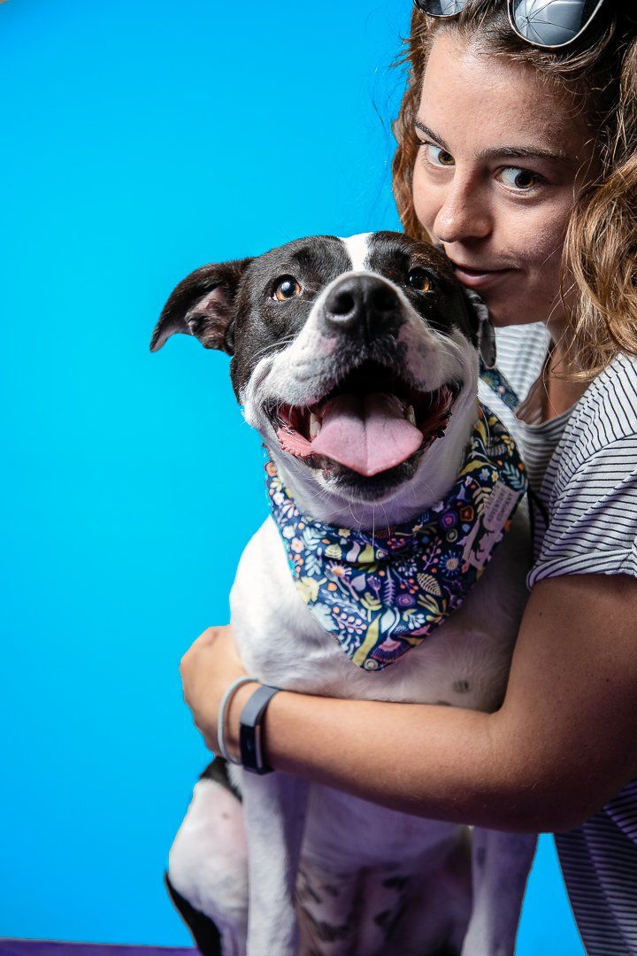 Photo by Michael Jackson Pet Photography - 