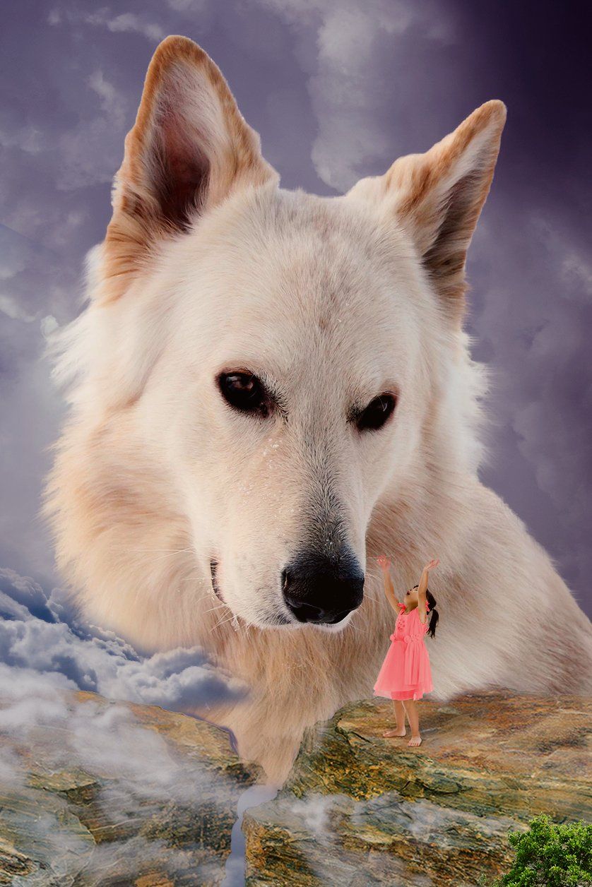 Protector: Photo composite - Created by Michael Jackson Pet Photography, Vero Beach, FL