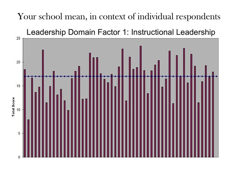 Sample Slide 2: Leadership Domain