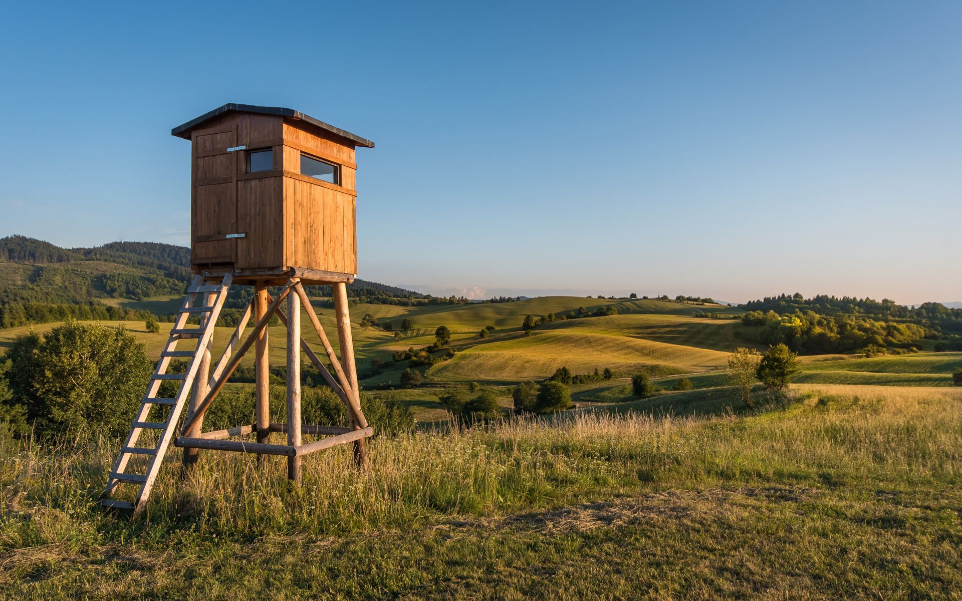Wooden hunting blind on a tall structure overlooking rolling green hills and a clear blue sky.