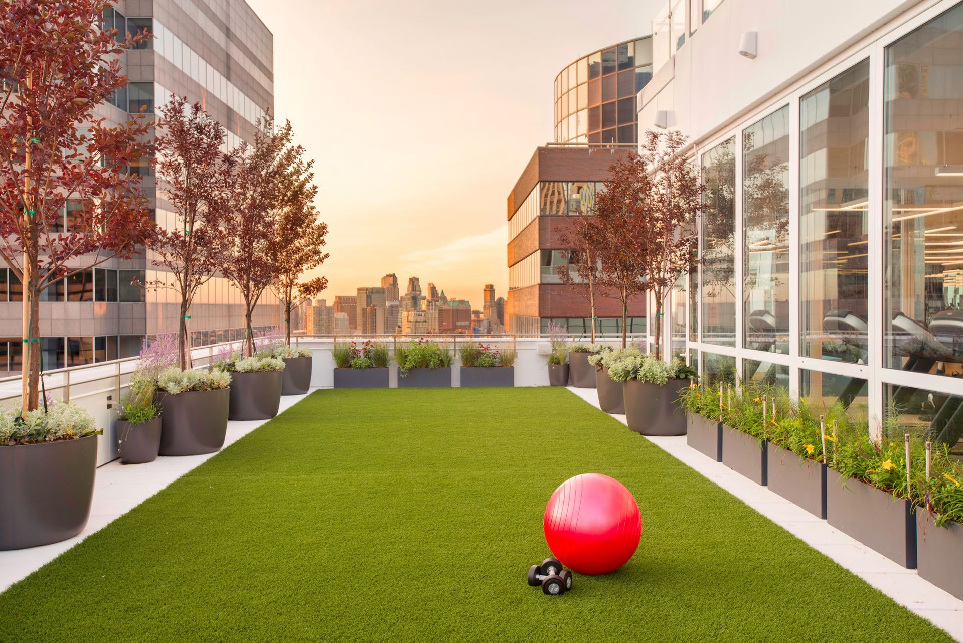 A red ball is sitting on top of a lush green lawn.