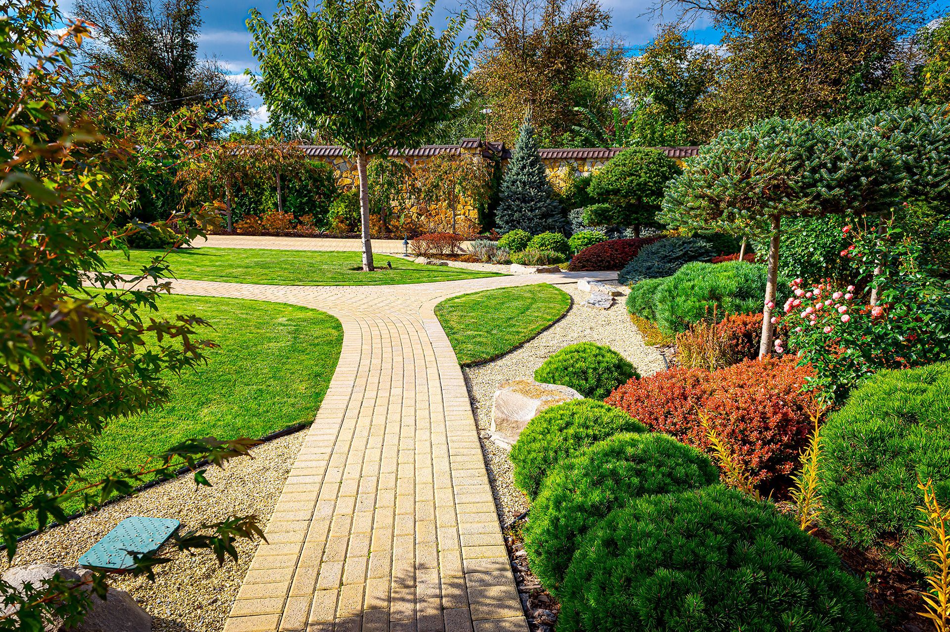 Backyard Landscape