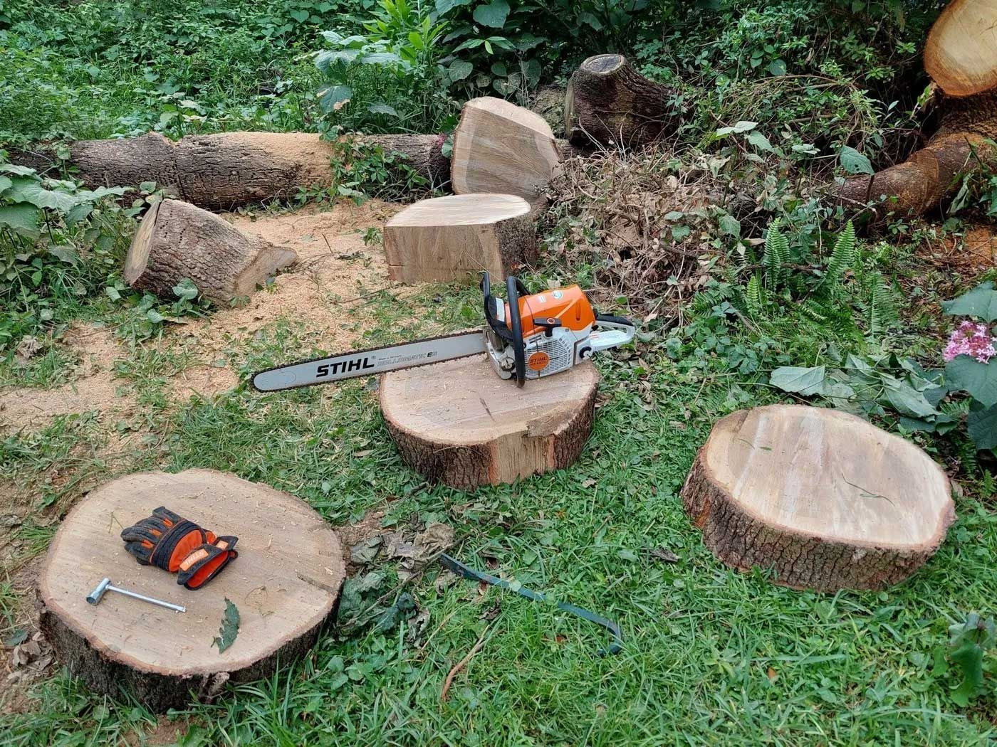 Stump Grinding  3