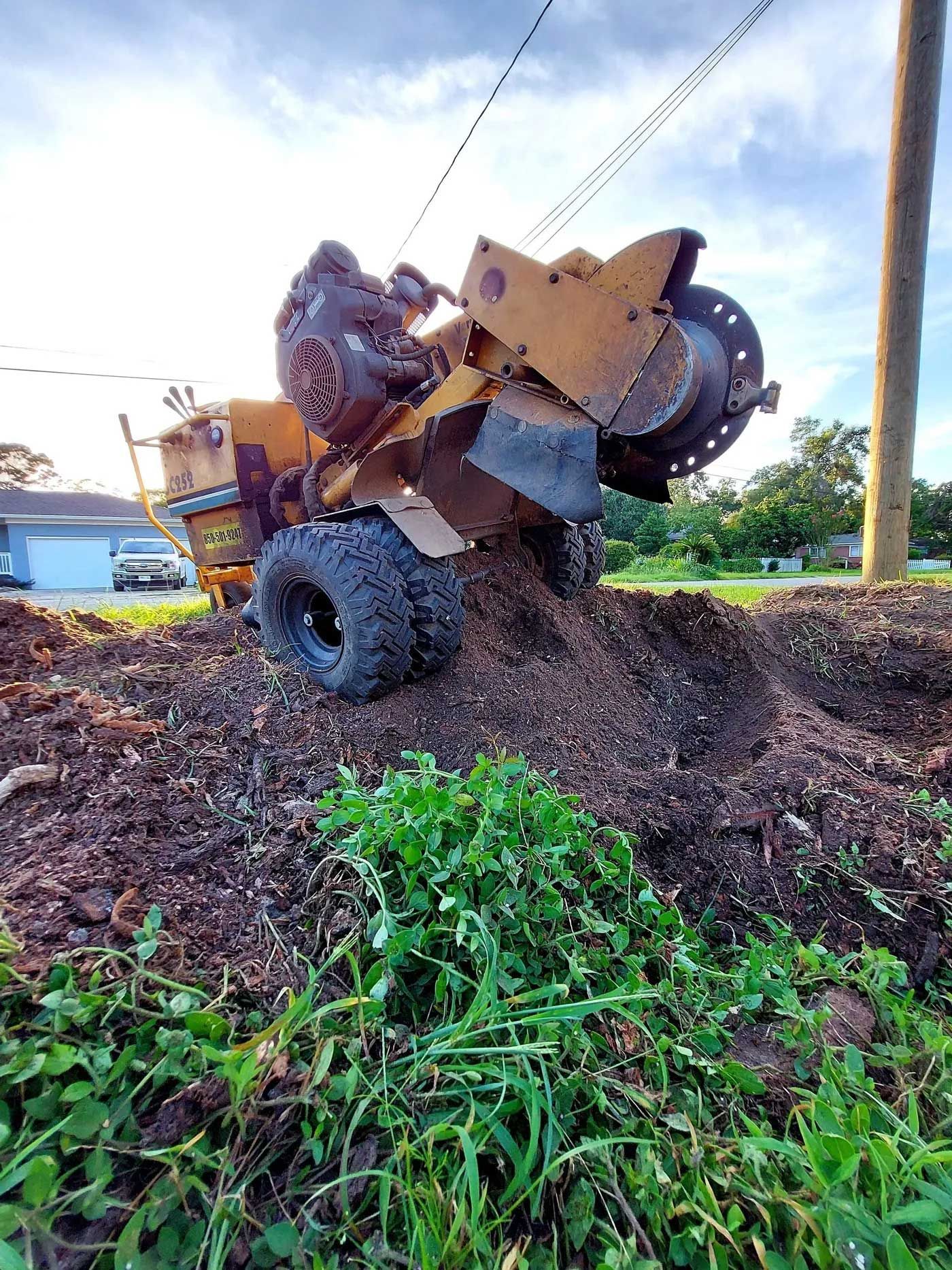 Stump Grinding  9
