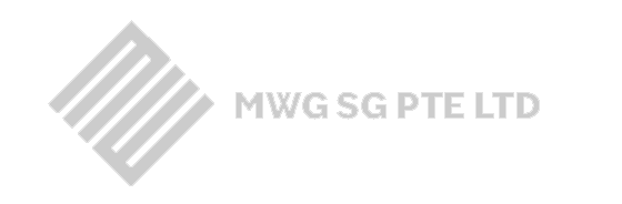 MWG SG PTE LTD