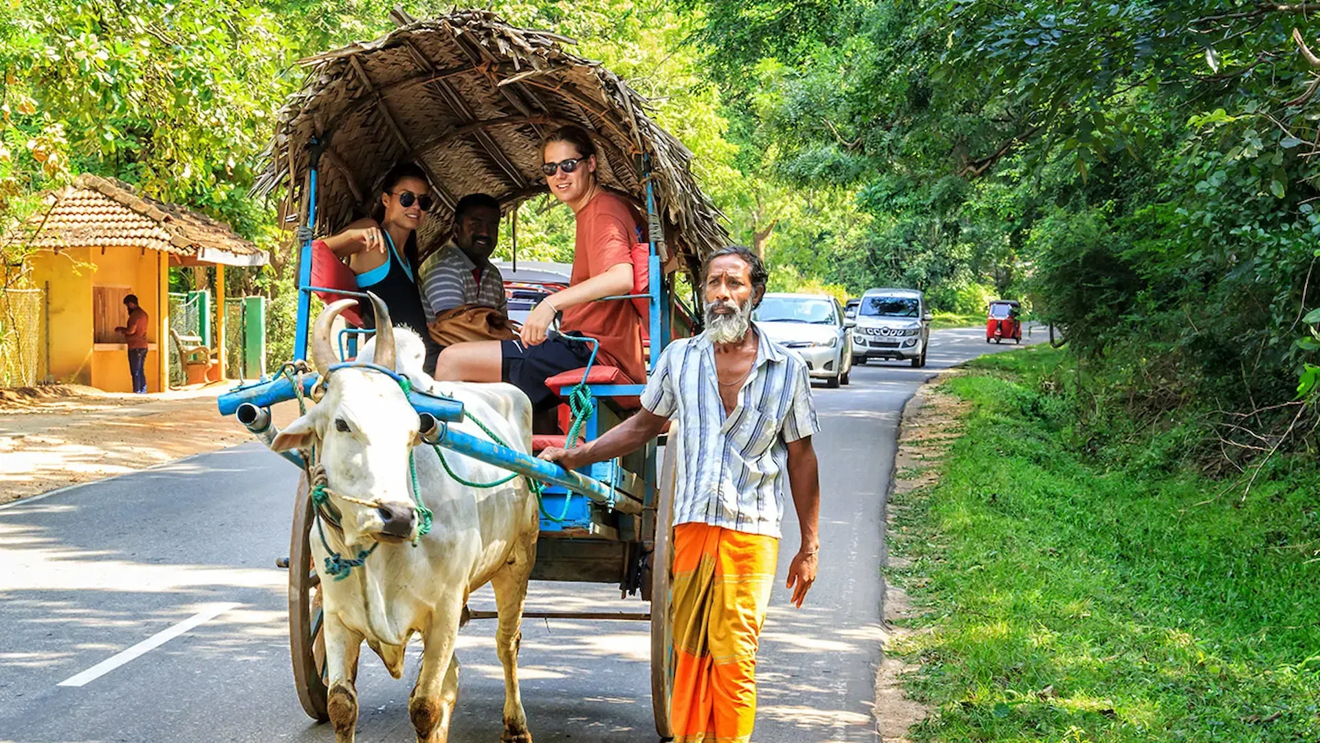 Traditional-village-tour-experience-around-Dambulla-Sri-Lanka