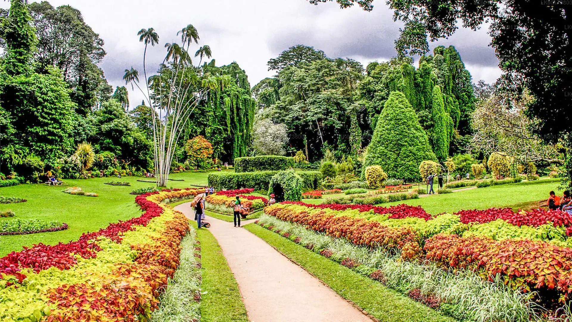 Visitors-walking-through-Royal-Botanical-Gardens-Peradeniya-Kandy-Sri-Lanka