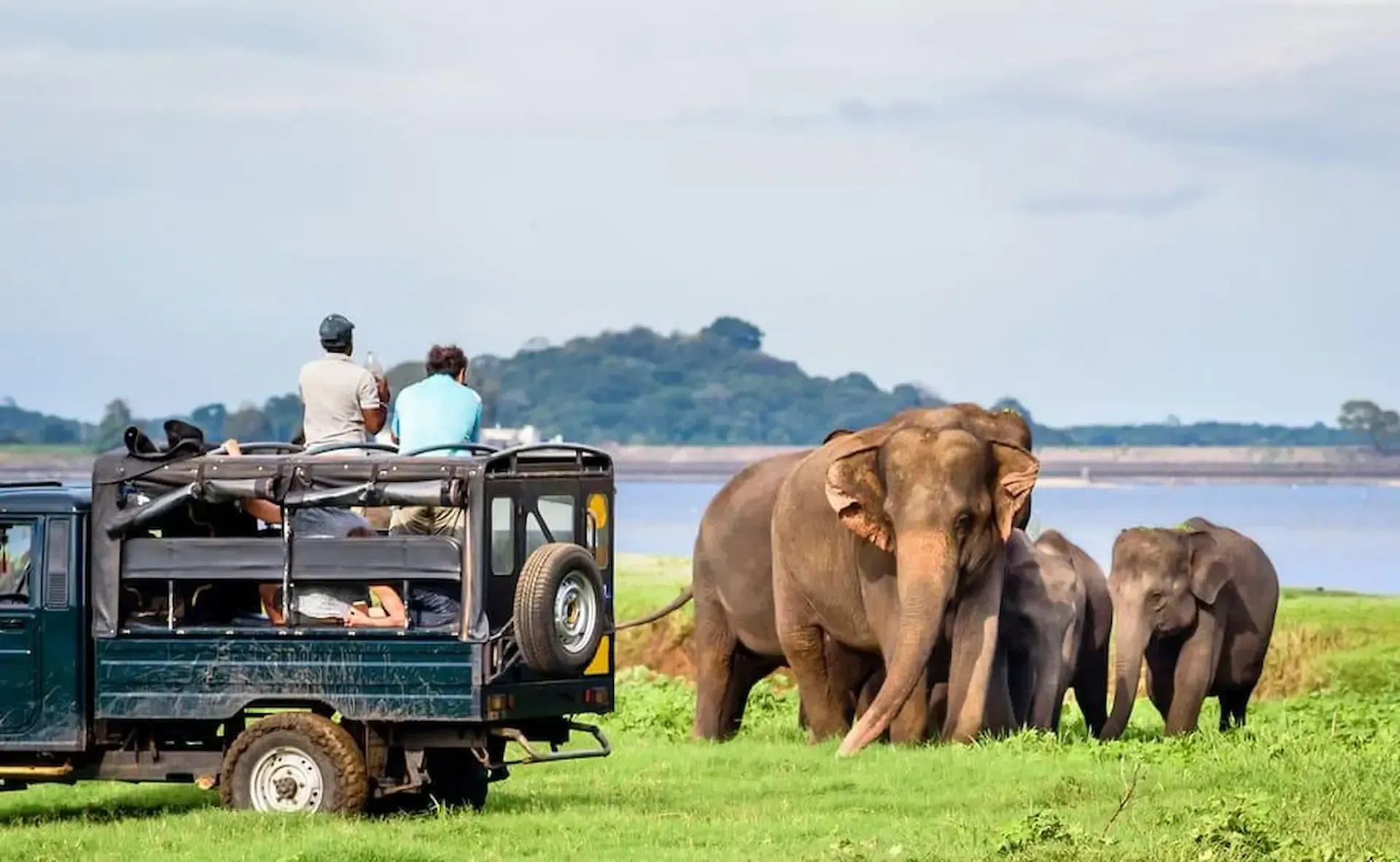 Wildlife-safari-experience-near-Sigiriya-Sri-Lanka