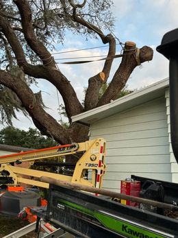 A crane is cutting a tree in front of a house.