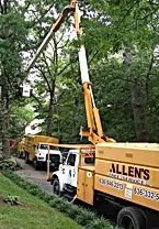 Truck For Cutting Trees — Wentzville, MO — Allen’s Tree Service, Inc.