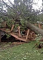 Tree Falling — Wentzville, MO — Allen’s Tree Service, Inc.