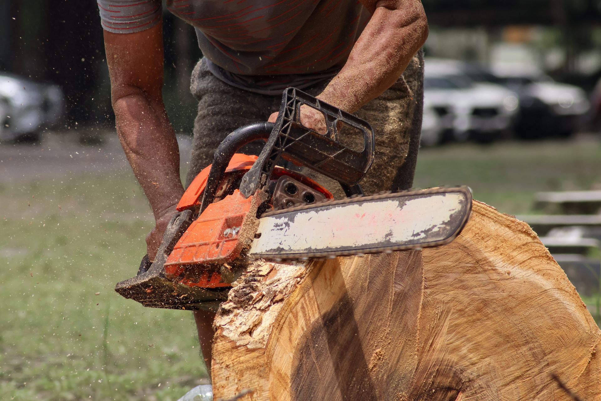 Worker cutting large tree trunk, showcasing safe and precise tree removal in action outdoors.