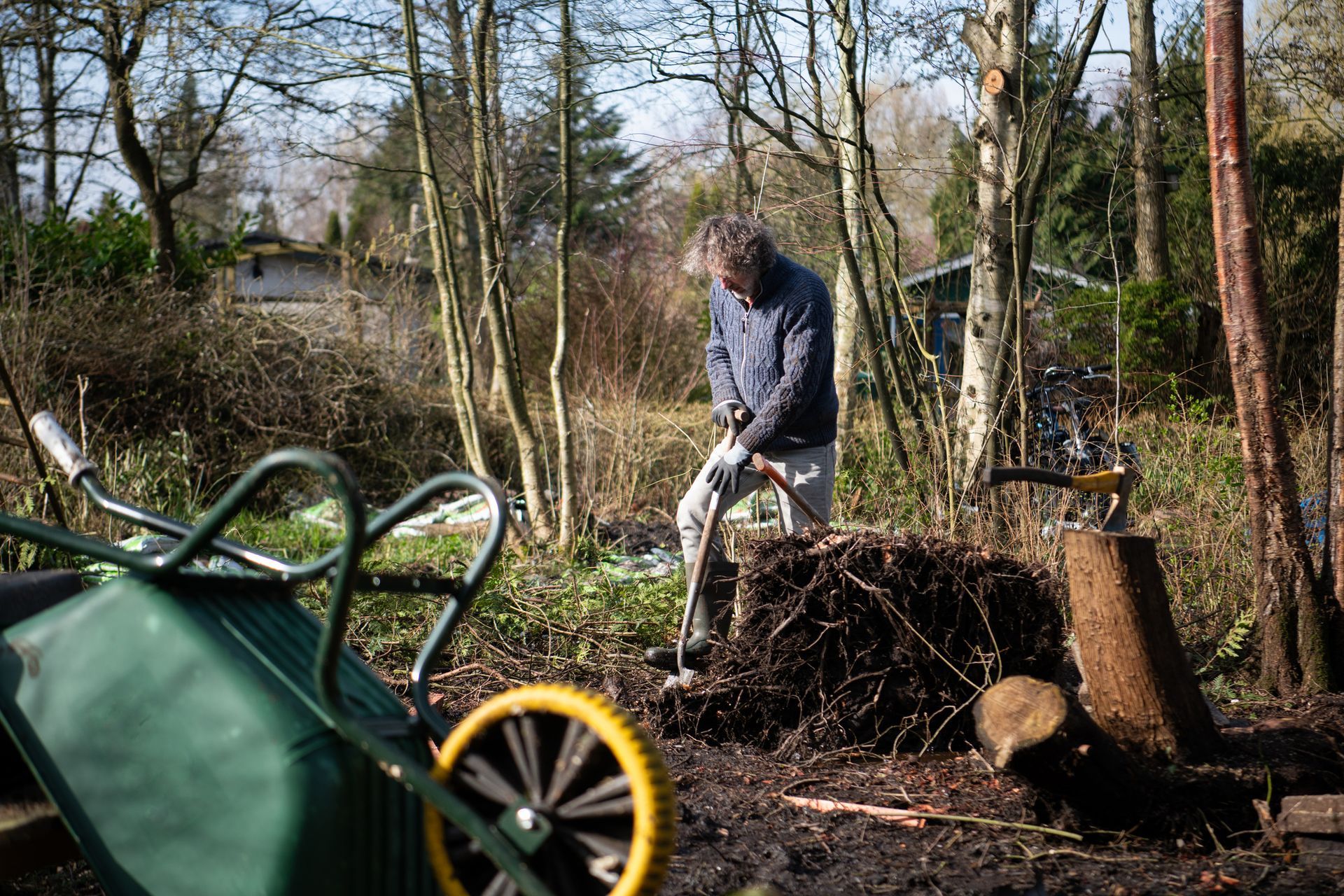 Man digging dirt with a shovel for professional tree extraction and landscaping services. Man digging dirt with a shovel for professional tree extraction and landscaping services.