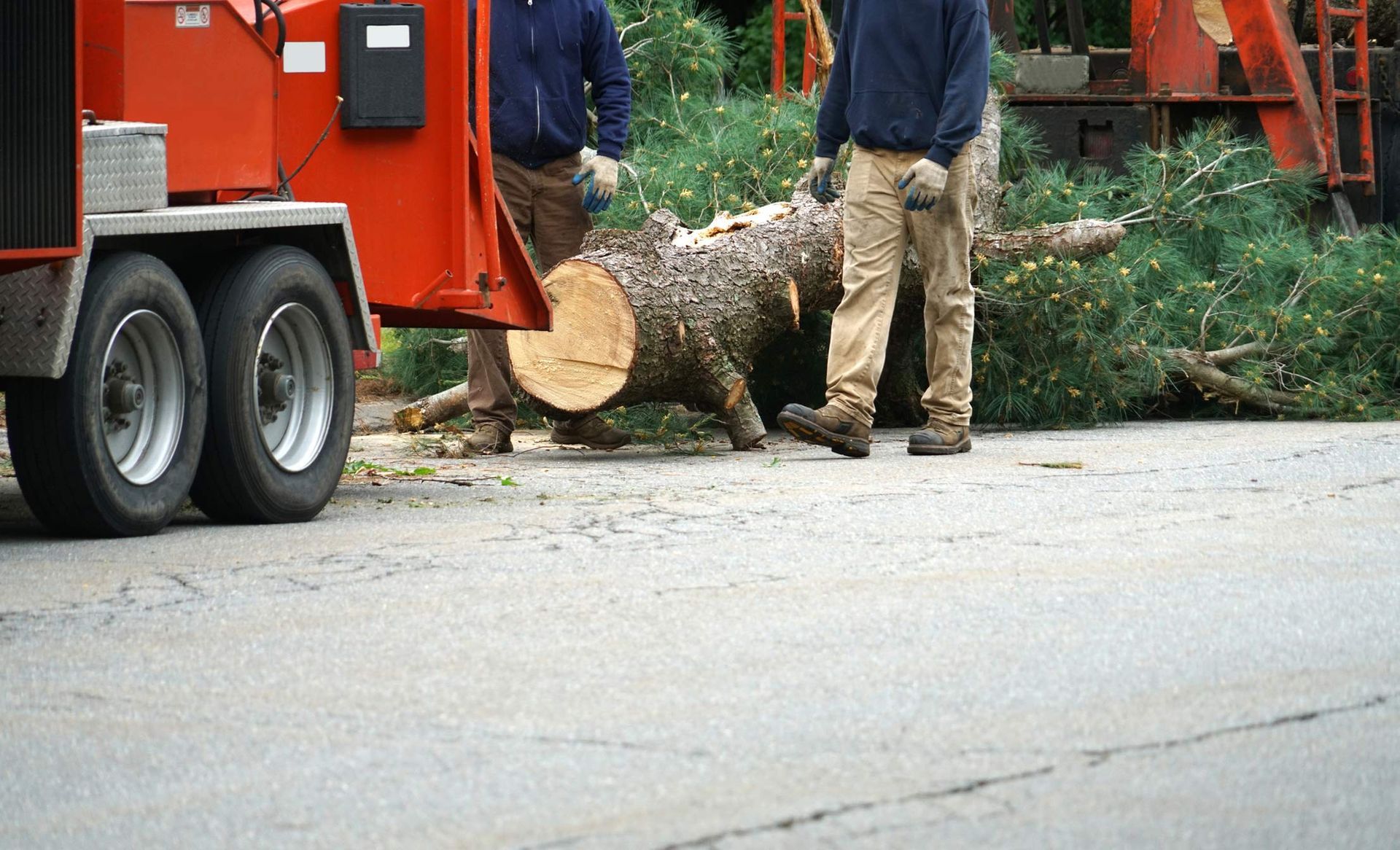A group of men cutting a tree.