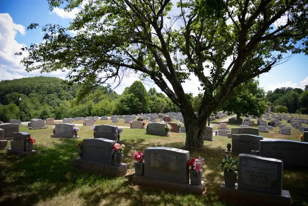 Cemetery with headstones and a large tree, under a blue sky, with a mountain in the background.