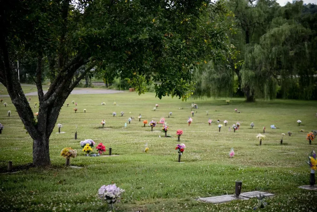 Cemetery with headstones and colorful flowers in a grassy field. A large tree shades the foreground.