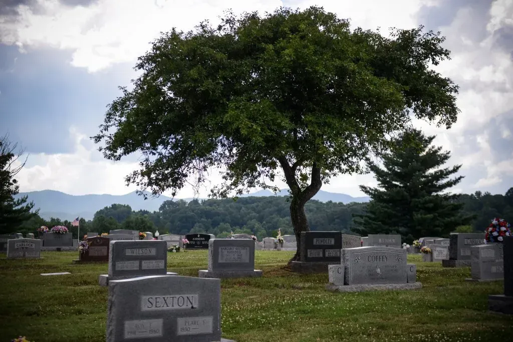 A tree in a cemetery with several gravestones, set against a backdrop of hills and a cloudy sky.