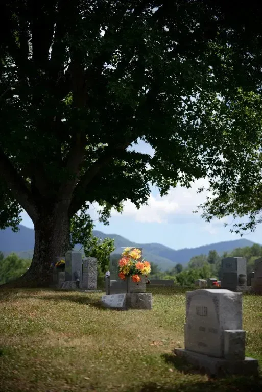 Cemetery with headstones, a large tree, and mountains in the background under a blue sky.