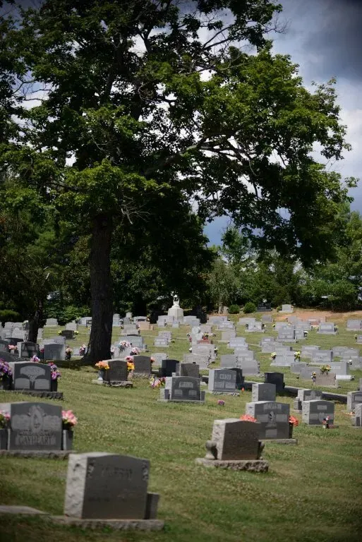A cemetery with numerous headstones on a grassy hill, large tree in the center under a cloudy sky.